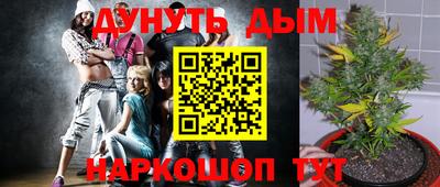 PSILOCYBIN Туймазы