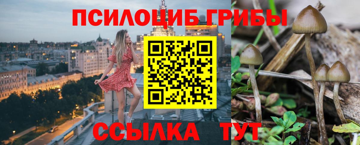 Псилоцибиновые грибы мицелий Белая Калитва